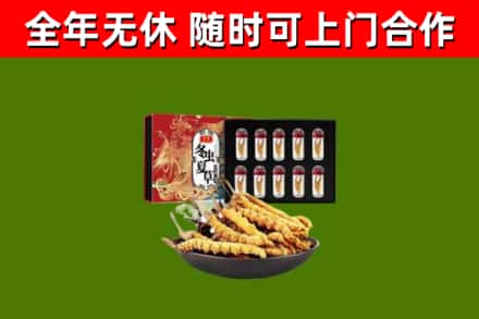 东方市回收冬虫夏草价格